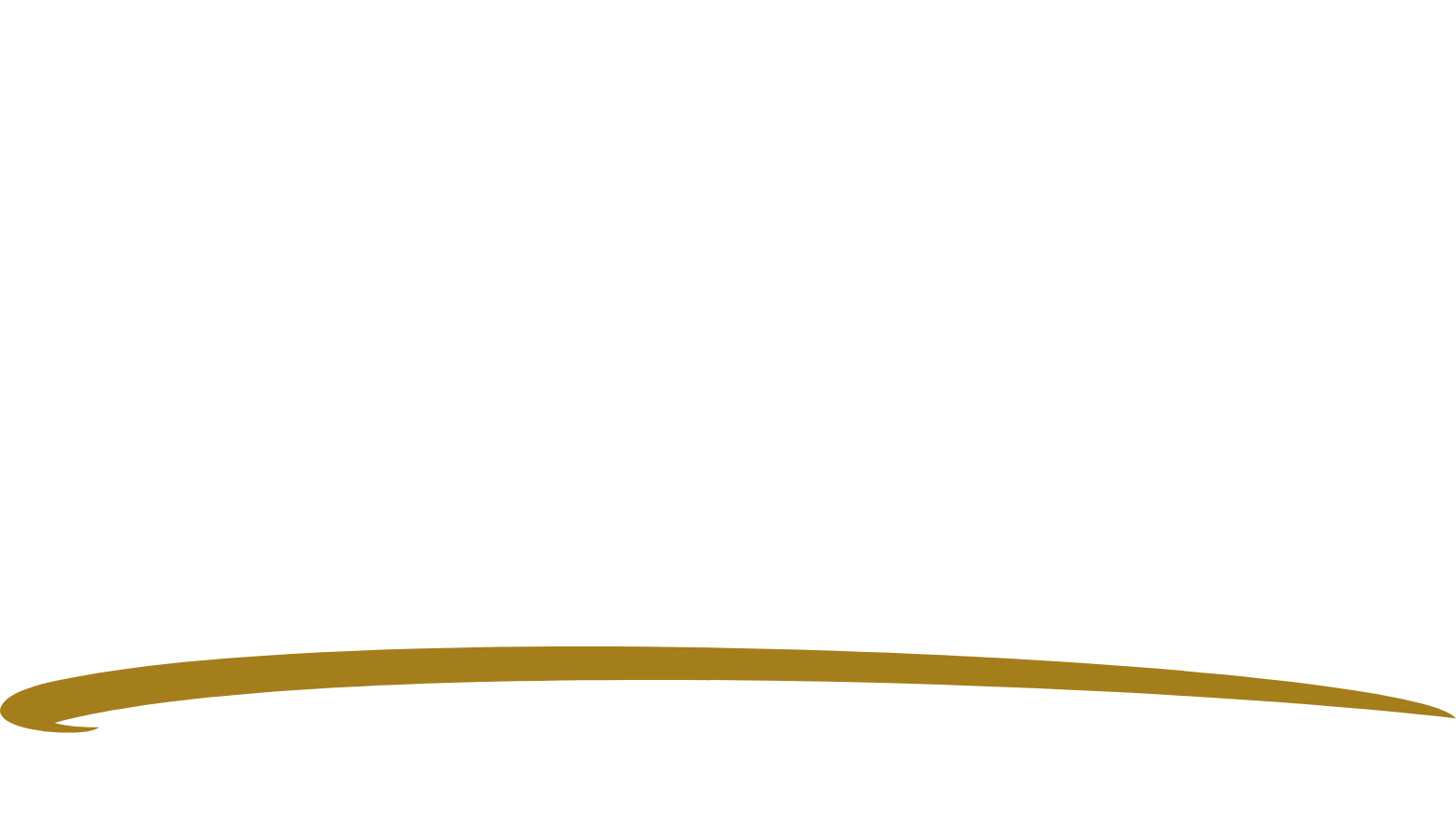 Elite Limousine